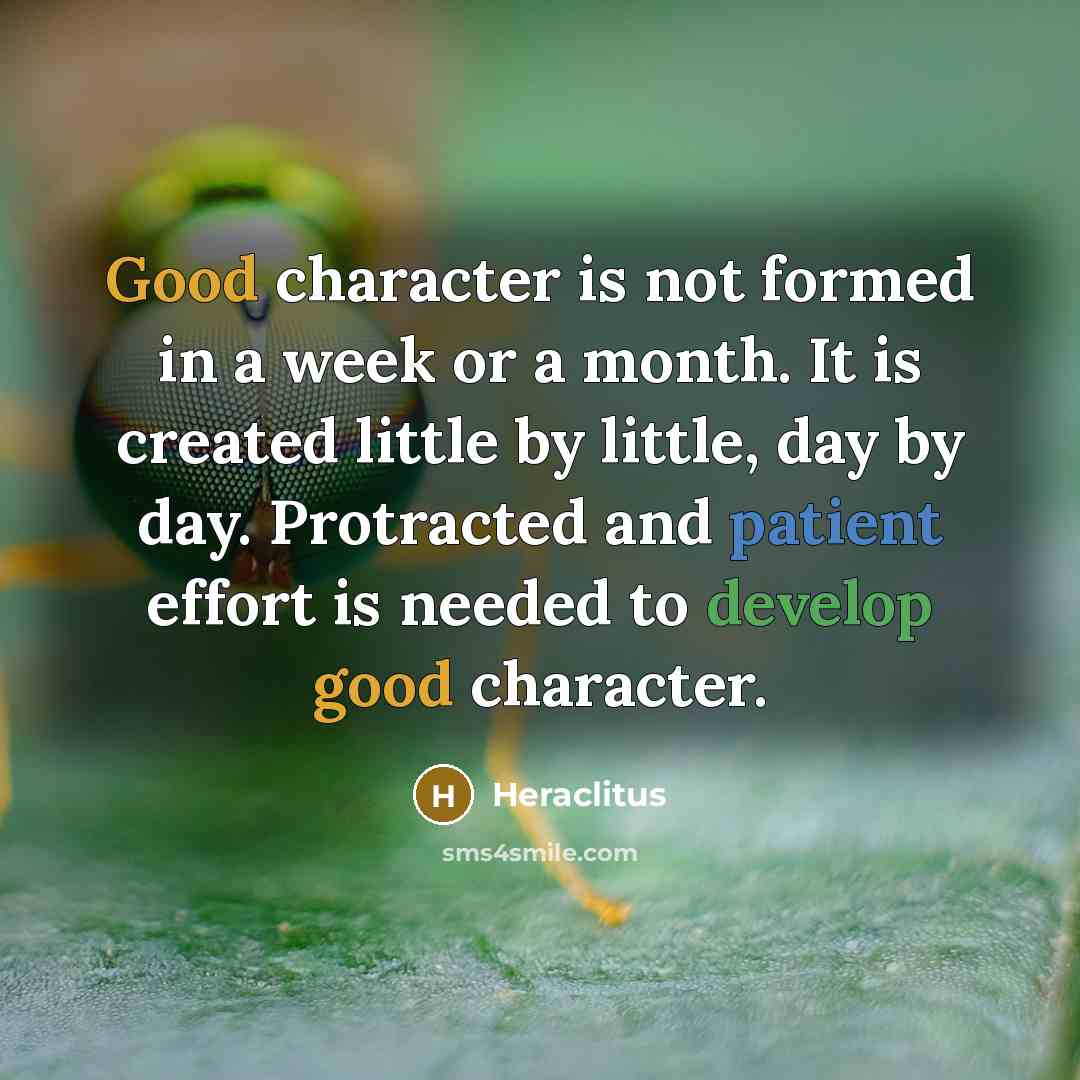 “Good character is not formed in a week or a month. It is created little by little, day by day. Protracted and patient effort is needed to develop good character.” quote by Heraclitus