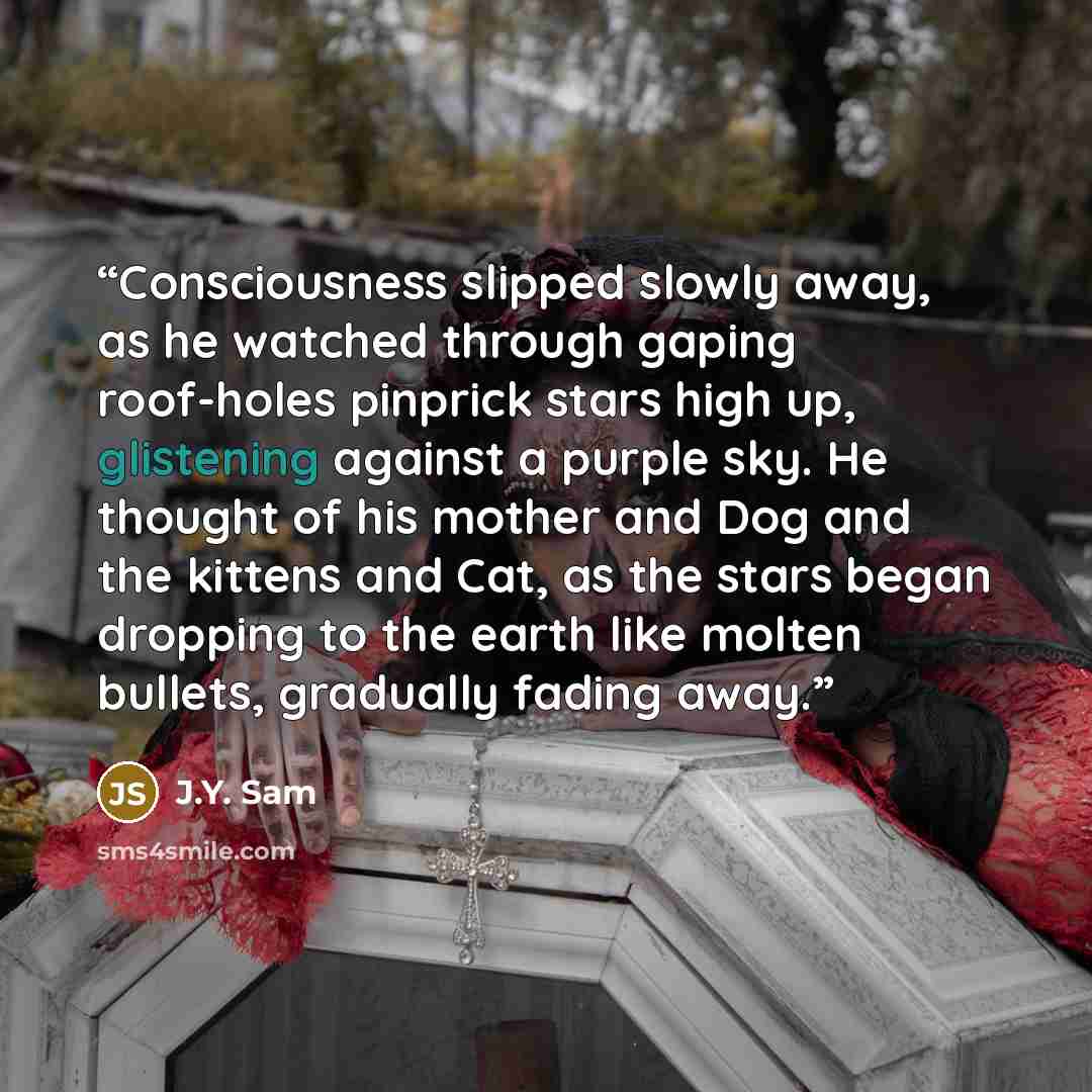 “Consciousness slipped slowly away, as he watched through gaping roof-holes pinprick stars high up, glistening against a purple sky. He thought of his mother and Dog and the kittens and Cat, as the stars began dropping to the earth like molten bullets, gradually fading away.” quote by J.Y. Sam