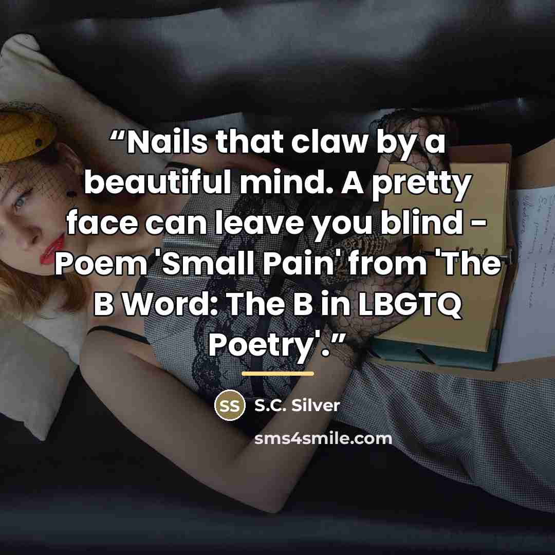 “Nails that claw by a beautiful mind. A pretty face can leave you blind - Poem 'Small Pain' from 'The B Word: The B in LBGTQ Poetry'.” quote by S.C. Silver