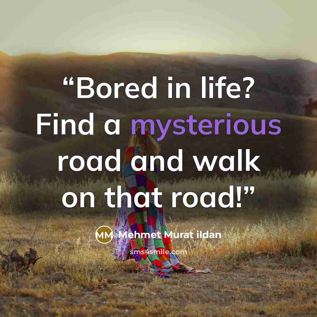 “Bored in life? Find a mysterious road and walk on that road!” quote by Mehmet Murat ildan
