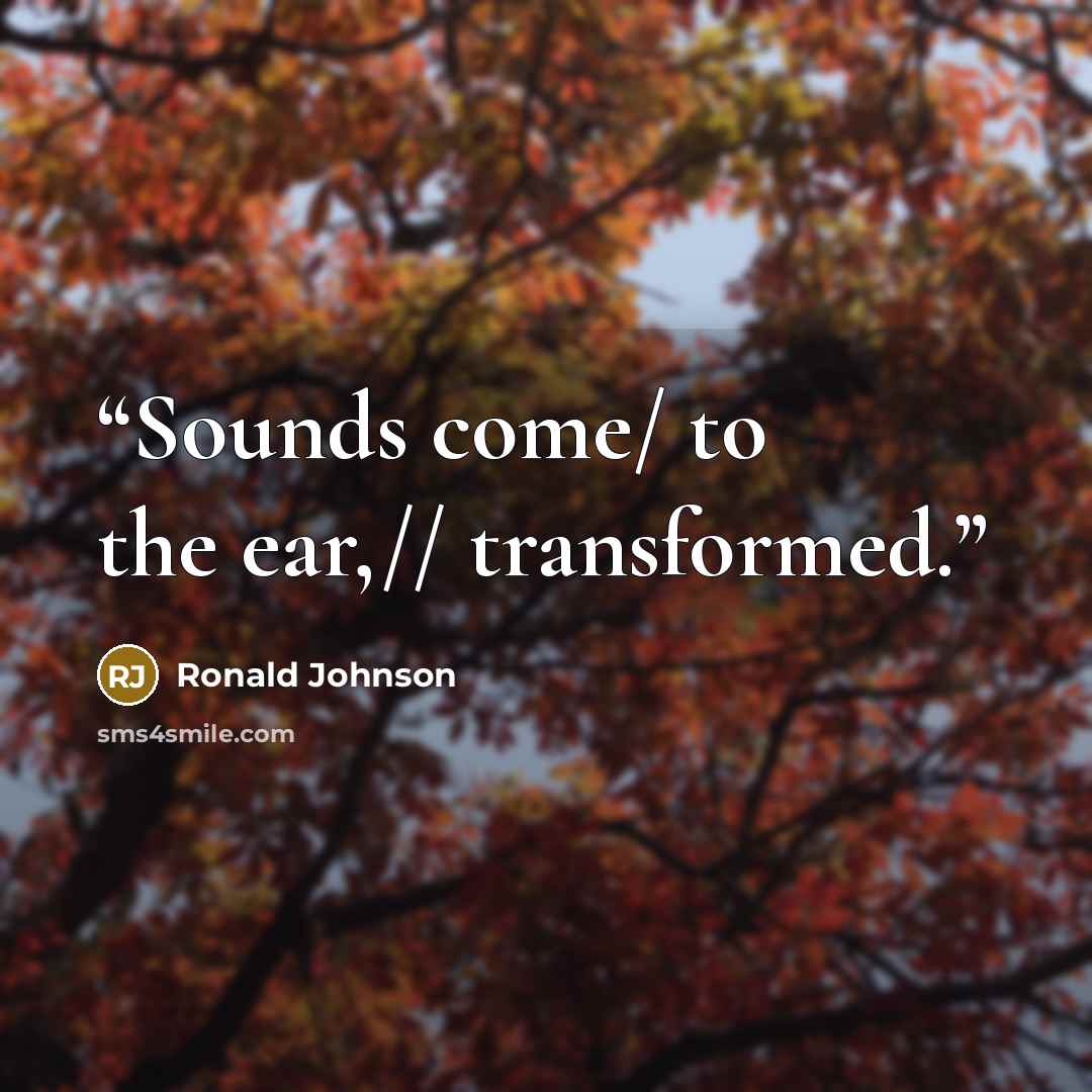 “Sounds come/ to the ear,// transformed.” quote by Ronald Johnson