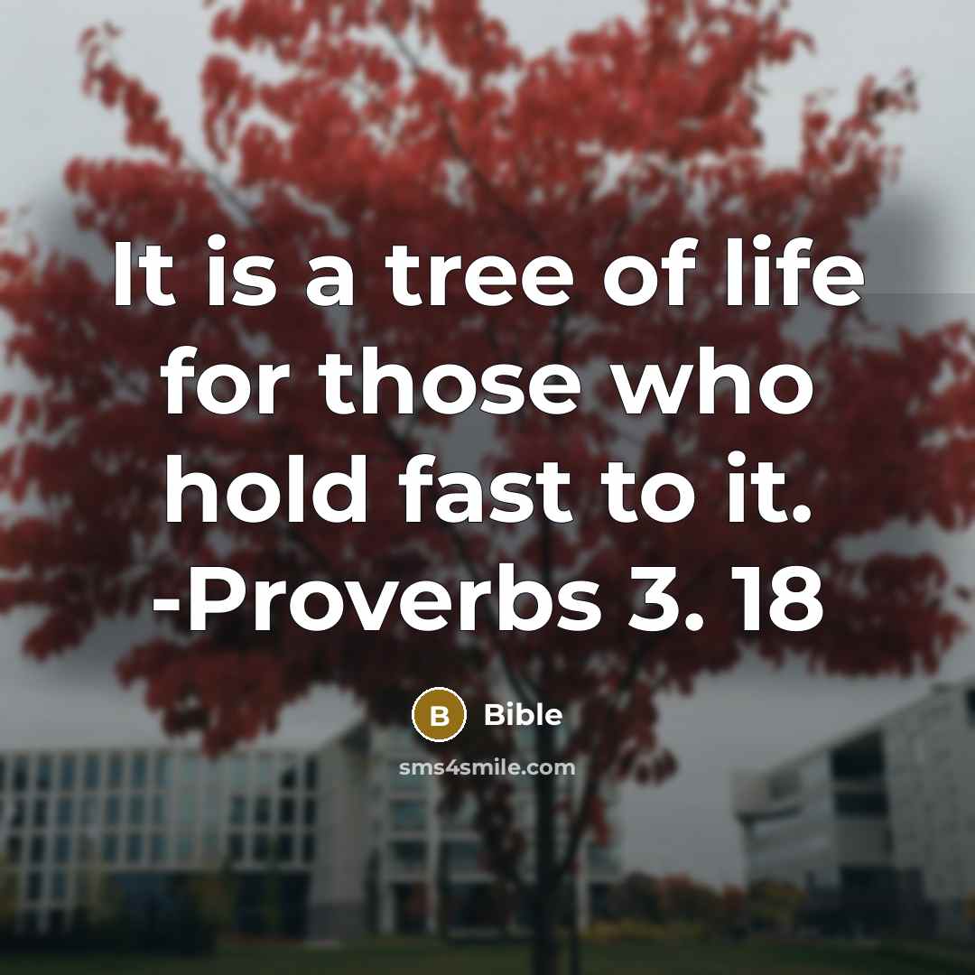 “It is a tree of life for those who hold fast to it. -Proverbs 3. 18” quote by Bible