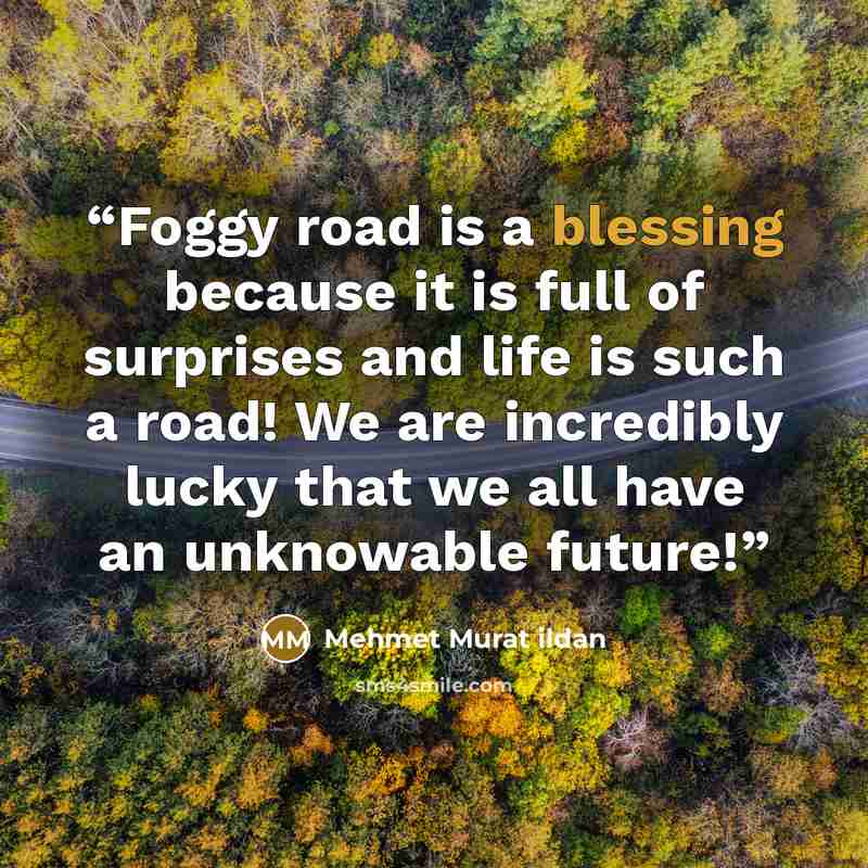 “Foggy road is a blessing because it is full of surprises and life is such a road! We are incredibly lucky that we all have an unknowable future!” quote by Mehmet Murat ildan
