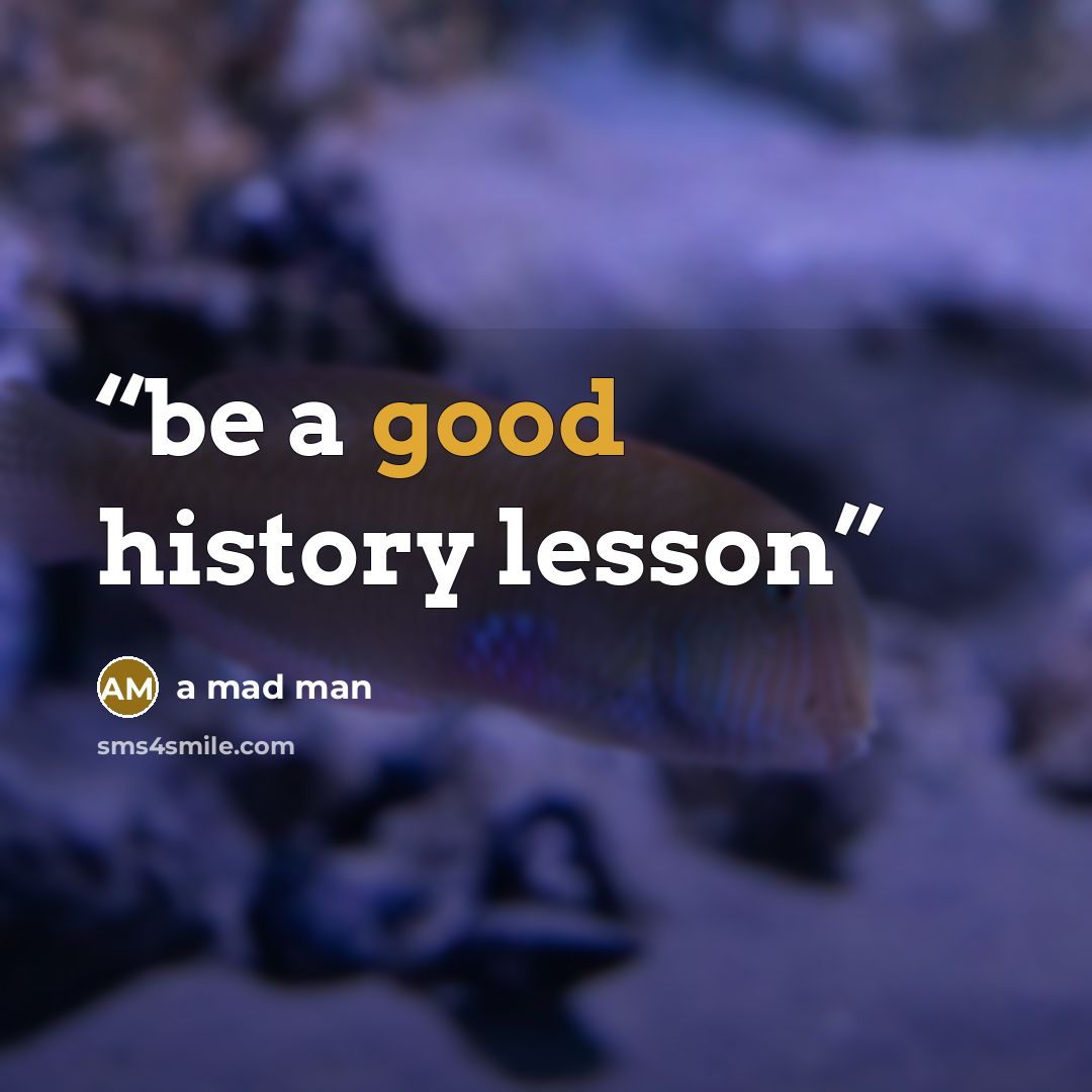 “be a good history lesson” quote by a mad man