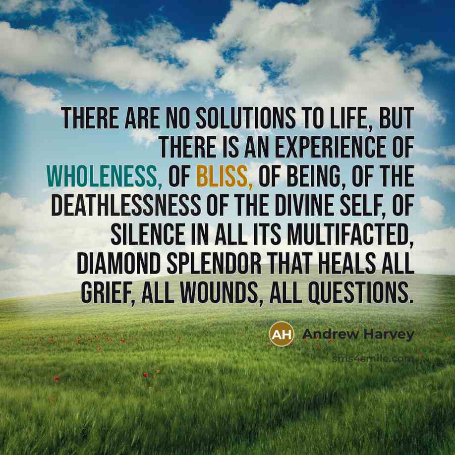 “There are no solutions to life, but there is an experience of wholeness, of bliss, of being, of the deathlessness of the Divine Self, of Silence in all its multifacted, diamond splendor that heals all grief, all wounds, all questions.” quote by Andrew Harvey
