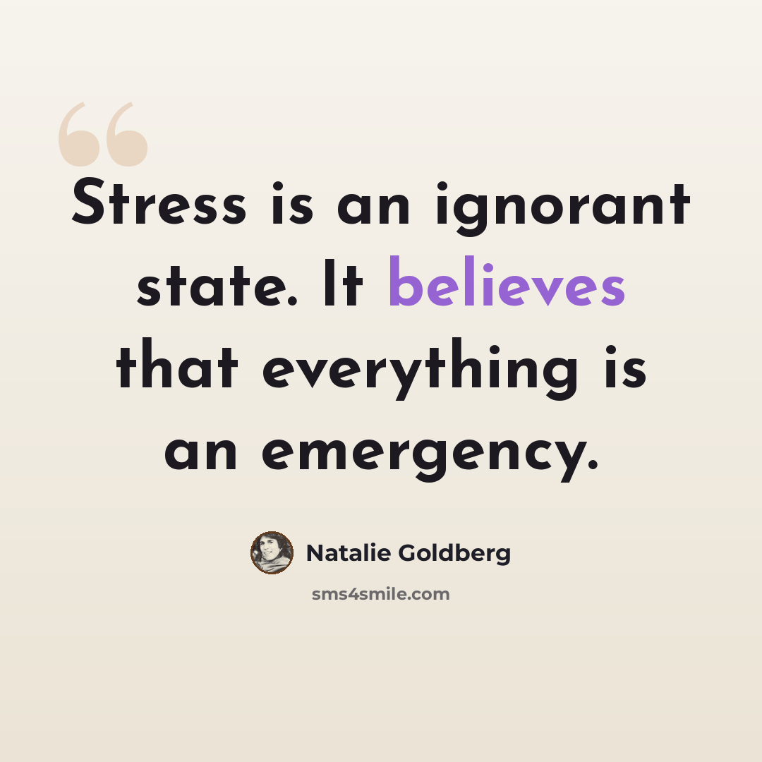 “Stress is an ignorant state. It believes that everything is an emergency.” quote by Natalie Goldberg