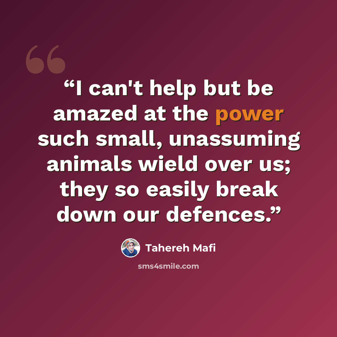 “I can't help but be amazed at the power such small, unassuming animals wield over us; they so easily break down our defences.” quote by Tahereh Mafi