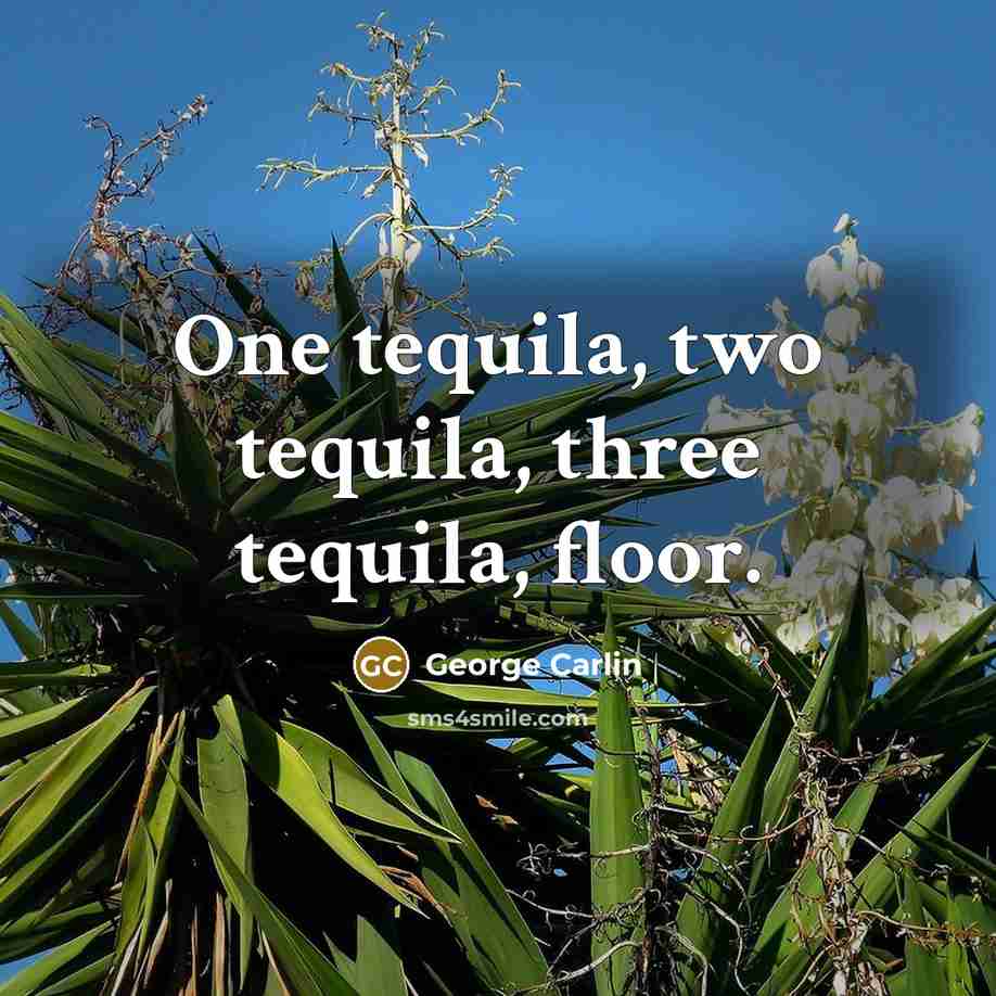 “One tequila, two tequila, three tequila, floor.” quote by George Carlin