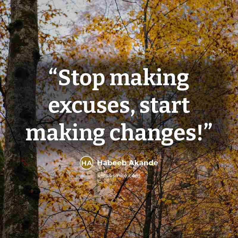 “Stop making excuses, start making changes!” quote by Habeeb Akande