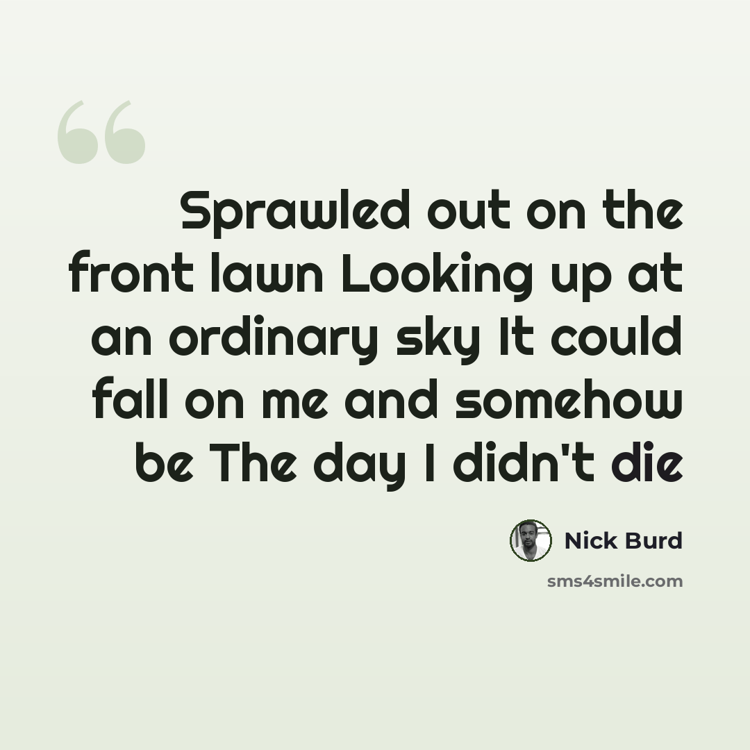 “Sprawled out on the front lawn Looking up at an ordinary sky It could fall on me and somehow be The day I didn't die” quote by Nick Burd