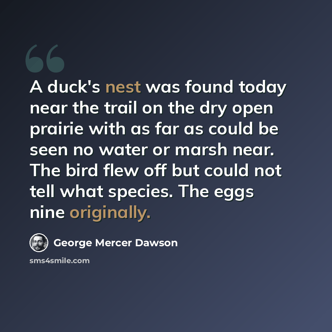 “A duck's nest was found today near the trail on the dry open prairie with as far as could be seen no water or marsh near. The bird flew off but could not tell what species. The eggs nine originally.” quote by George Mercer Dawson