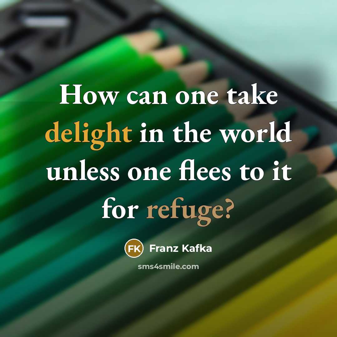 “How can one take delight in the world unless one flees to it for refuge?” quote by Franz Kafka