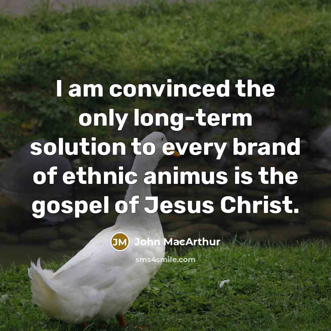 “I am convinced the only long-term solution to every brand of ethnic animus is the gospel of Jesus Christ.” quote by John MacArthur