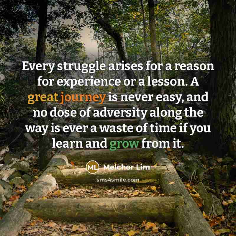 “Every struggle arises for a reason for experience or a lesson. A great journey is never easy, and no dose of adversity along the way is ever a waste of time if you learn and grow from it.” quote by Melchor Lim