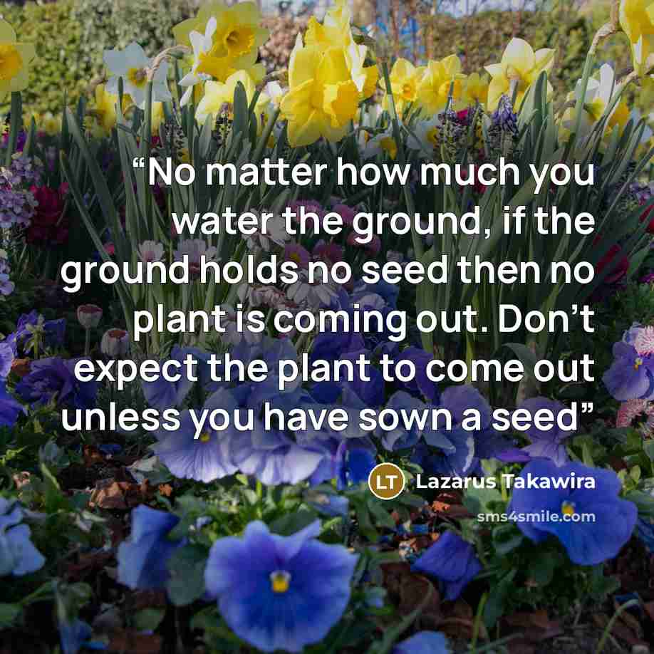 “No matter how much you water the ground, if the ground holds no seed then no plant is coming out. Don’t expect the plant to come out unless you have sown a seed” quote by Lazarus Takawira