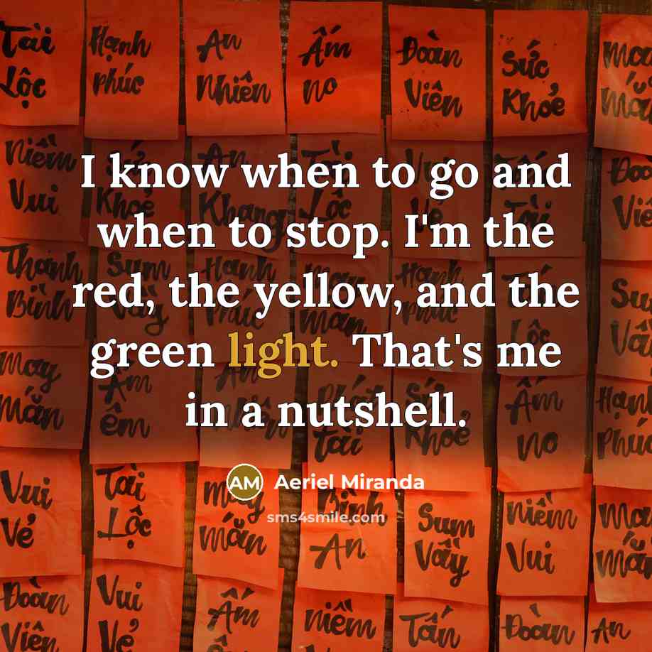 “I know when to go and when to stop. I'm the red, the yellow, and the green light. That's me in a nutshell.” quote by Aeriel Miranda