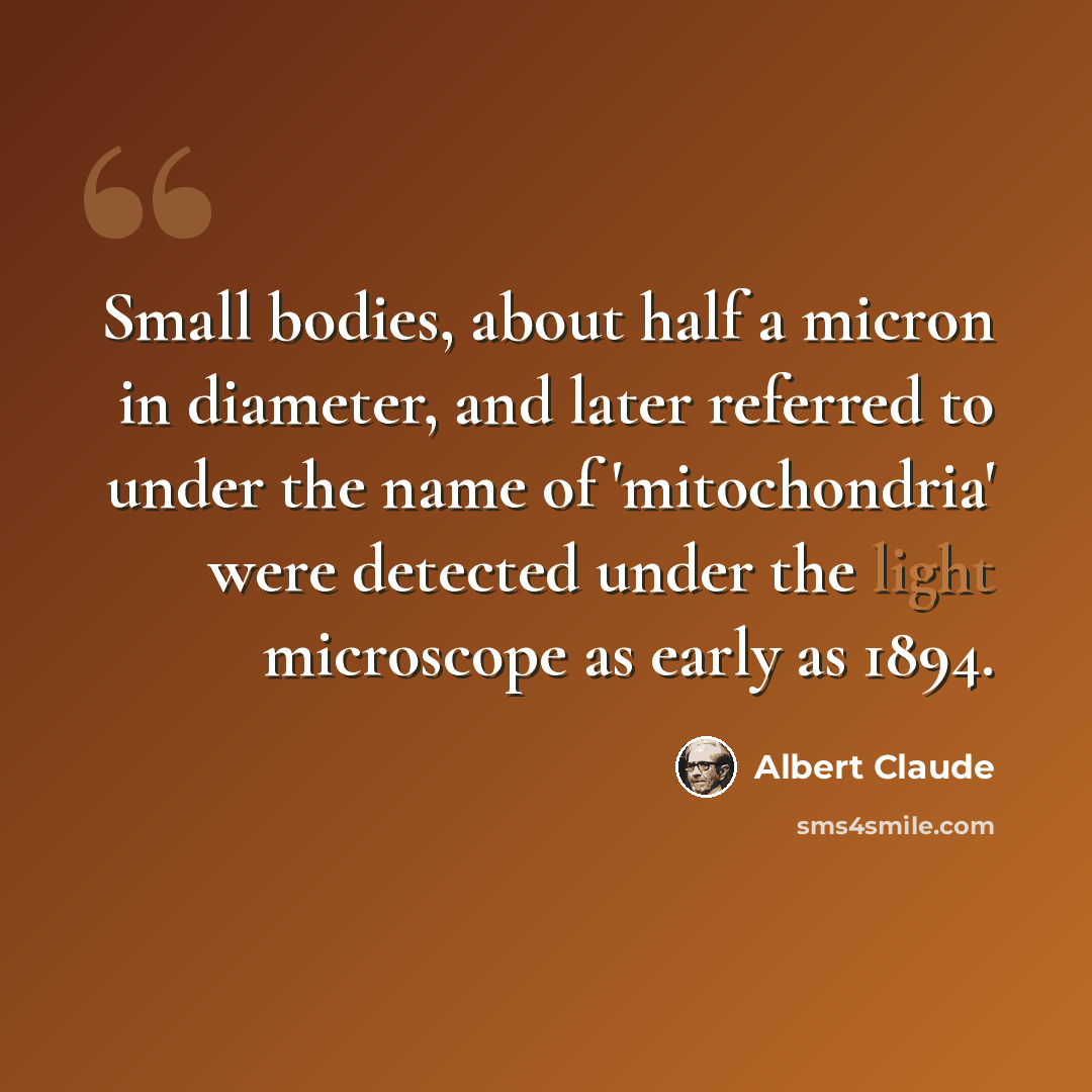 “Small bodies, about half a micron in diameter, and later referred to under the name of 'mitochondria' were detected under the light microscope as early as 1894.” quote by Albert Claude