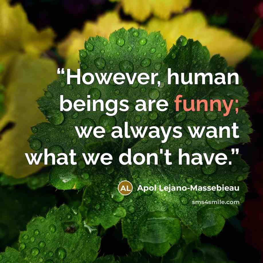 “However, human beings are funny; we always want what we don't have.” quote by Apol Lejano-Massebieau