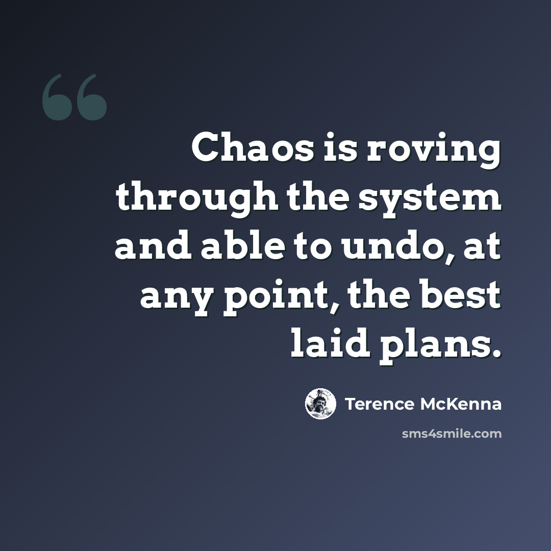 “Chaos is roving through the system and able to undo, at any point, the best laid plans.” quote by Terence McKenna