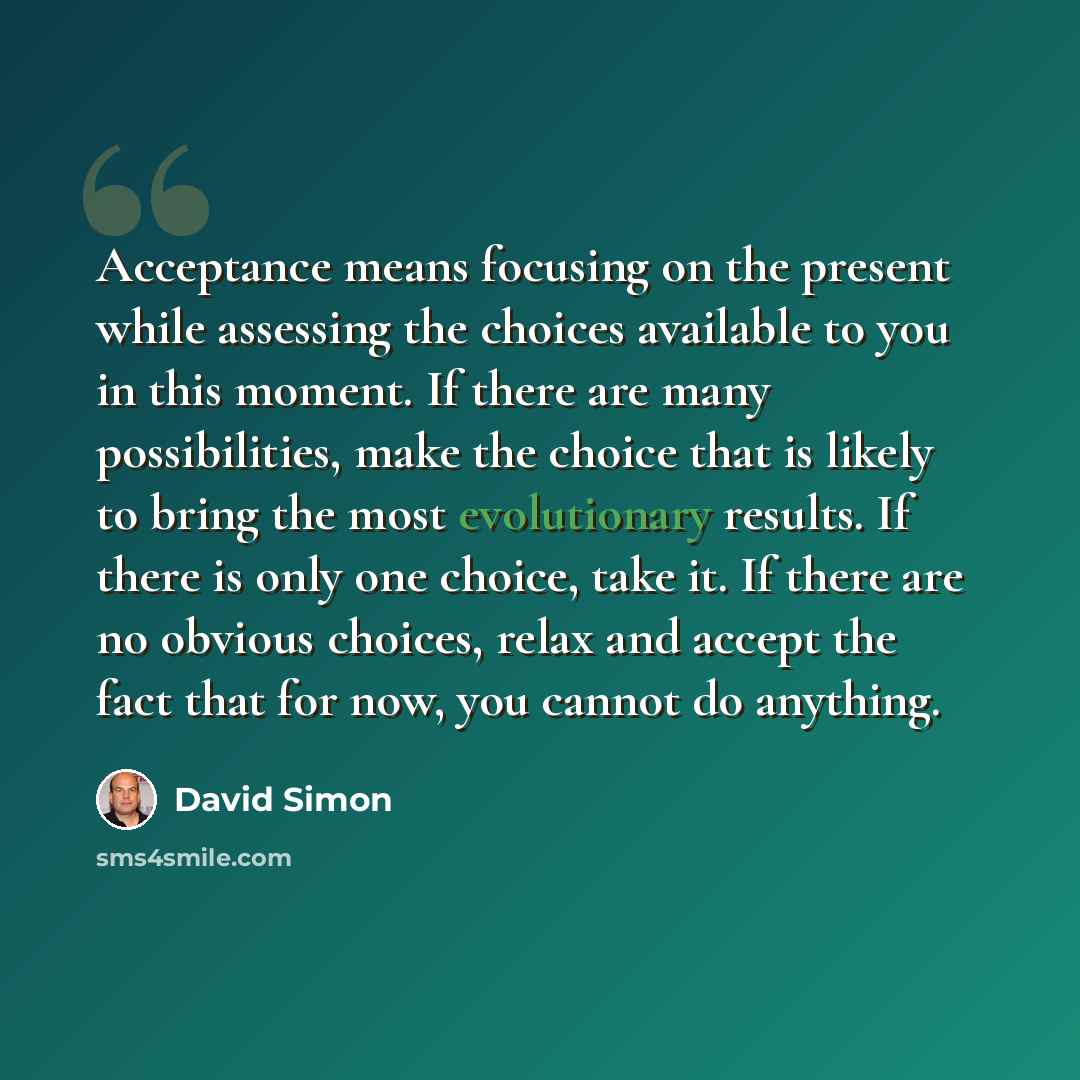 “Acceptance means focusing on the present while assessing the choices available to you in this moment. If there are many possibilities, make the choice that is likely to bring the most evolutionary results. If there is only one choice, take it. If there are no obvious choices, relax and accept the…” quote by David Simon