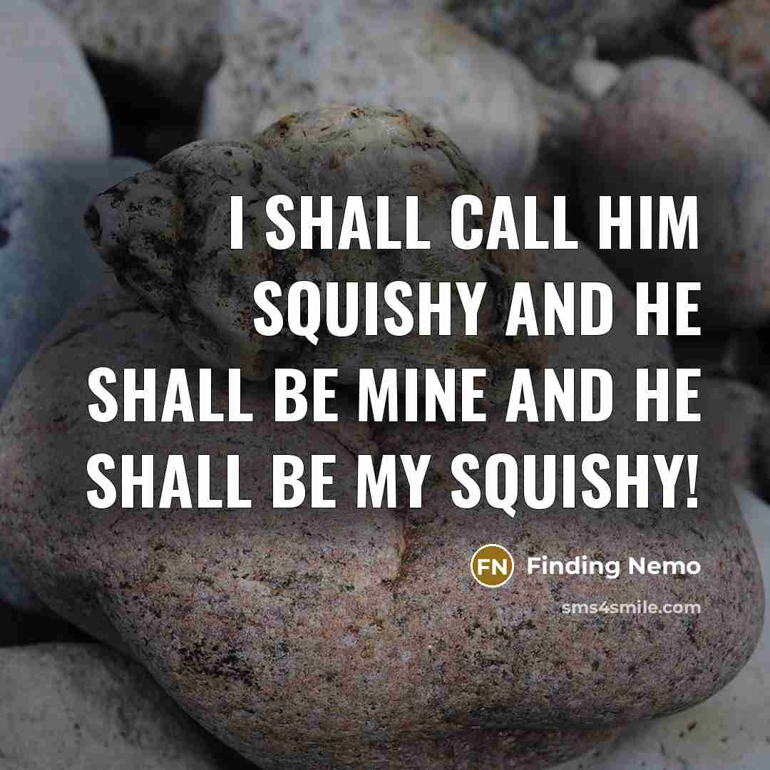 “I shall call him squishy and he shall be mine and he shall be my squishy!” quote by Finding Nemo
