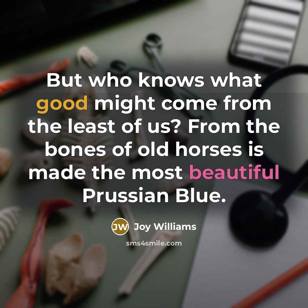 “But who knows what good might come from the least of us? From the bones of old horses is made the most beautiful Prussian Blue.” quote by Joy Williams