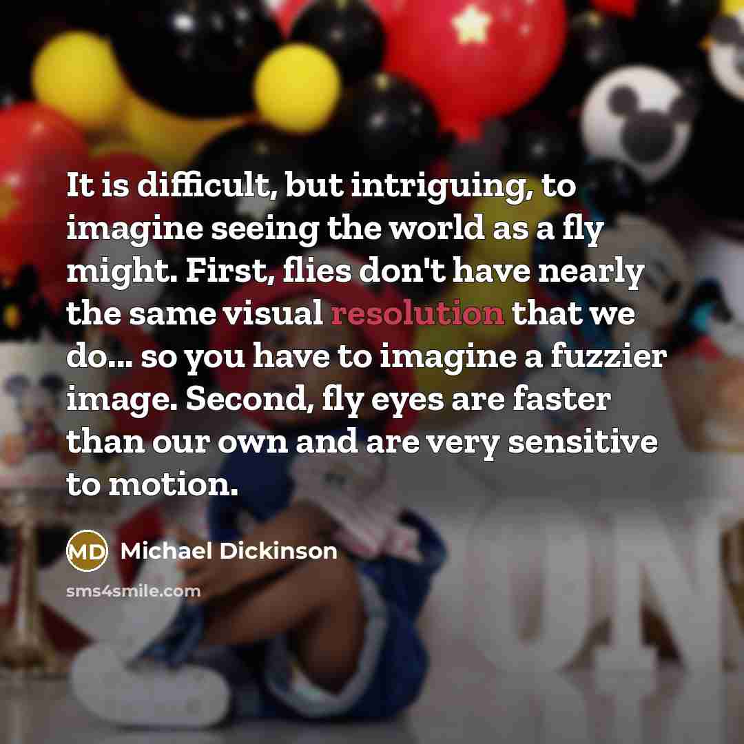 “It is difficult, but intriguing, to imagine seeing the world as a fly might. First, flies don't have nearly the same visual resolution that we do... so you have to imagine a fuzzier image. Second, fly eyes are faster than our own and are very sensitive to motion.” quote by Michael Dickinson