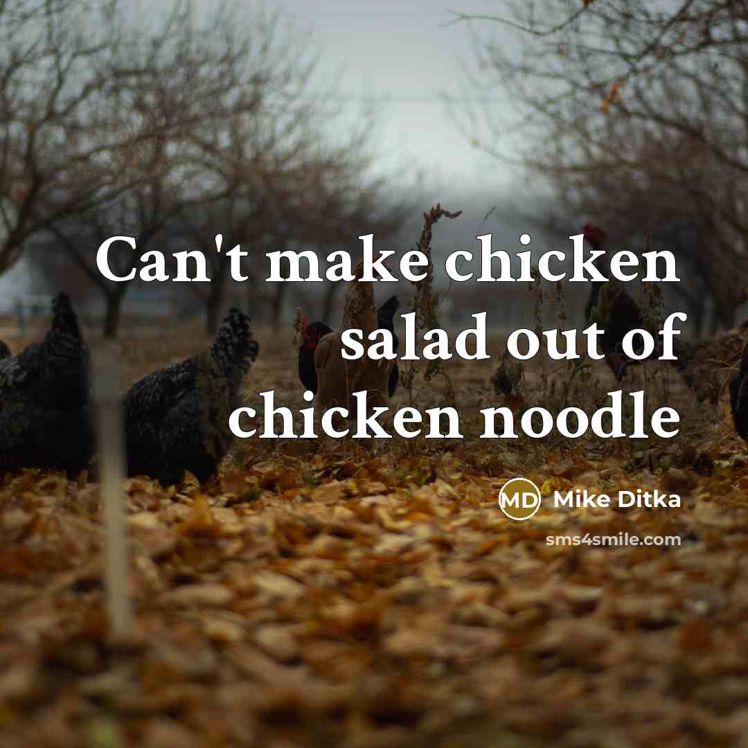 “Can't make chicken salad out of chicken noodle” quote by Mike Ditka