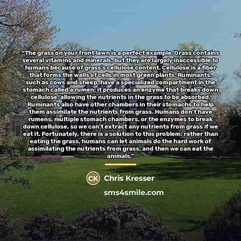 “The grass on your front lawn is a perfect example. Grass contains several vitamins and minerals, but they are largely inaccessible to humans because of grass’s cellulose content. Cellulose is a fiber that forms the walls of cells in most green plants. Ruminants, such as cows and sheep, have a…” quote by Chris Kresser