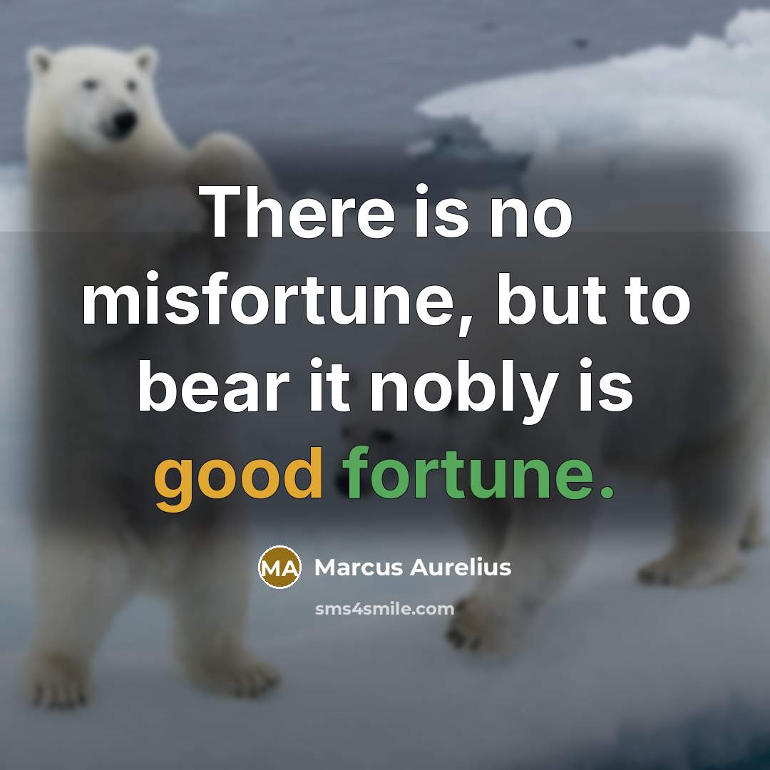 “There is no misfortune, but to bear it nobly is good fortune.” quote by Marcus Aurelius