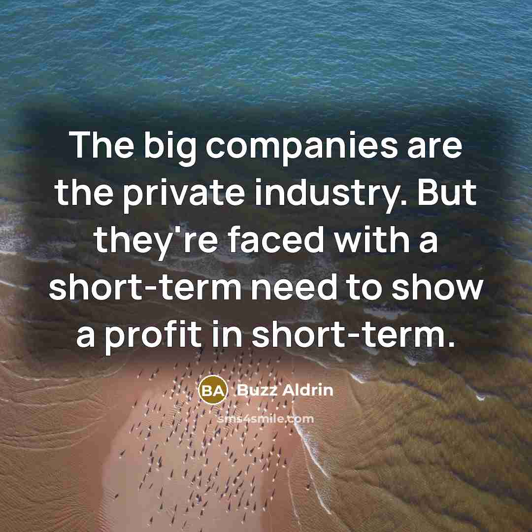 “The big companies are the private industry. But they're faced with a short-term need to show a profit in short-term.” quote by Buzz Aldrin
