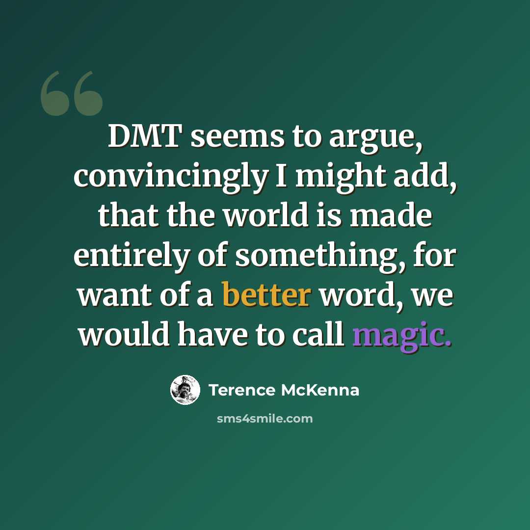 “DMT seems to argue, convincingly I might add, that the world is made entirely of something, for want of a better word, we would have to call magic.” quote by Terence McKenna