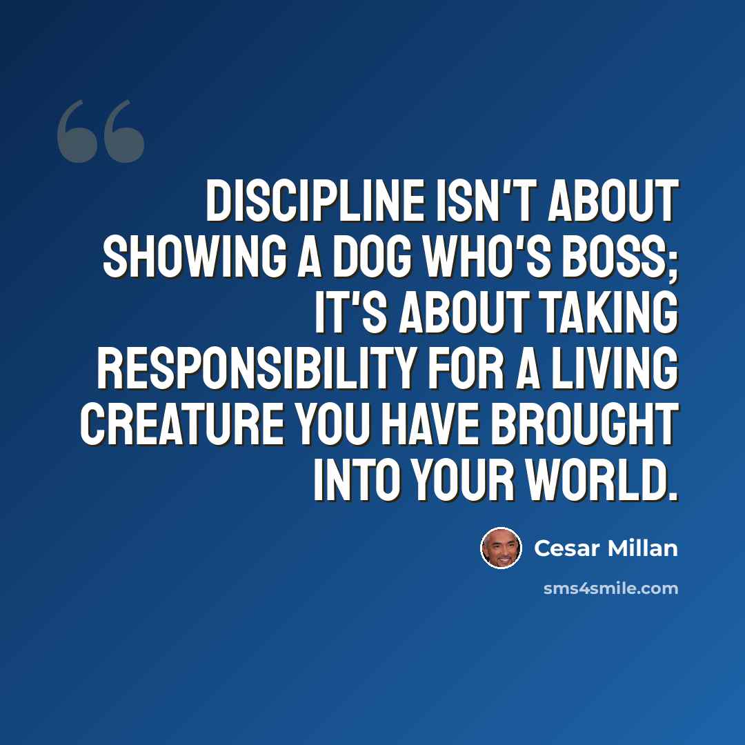 “Discipline isn't about showing a dog who's boss; it's about taking responsibility for a living creature you have brought into your world.” quote by Cesar Millan