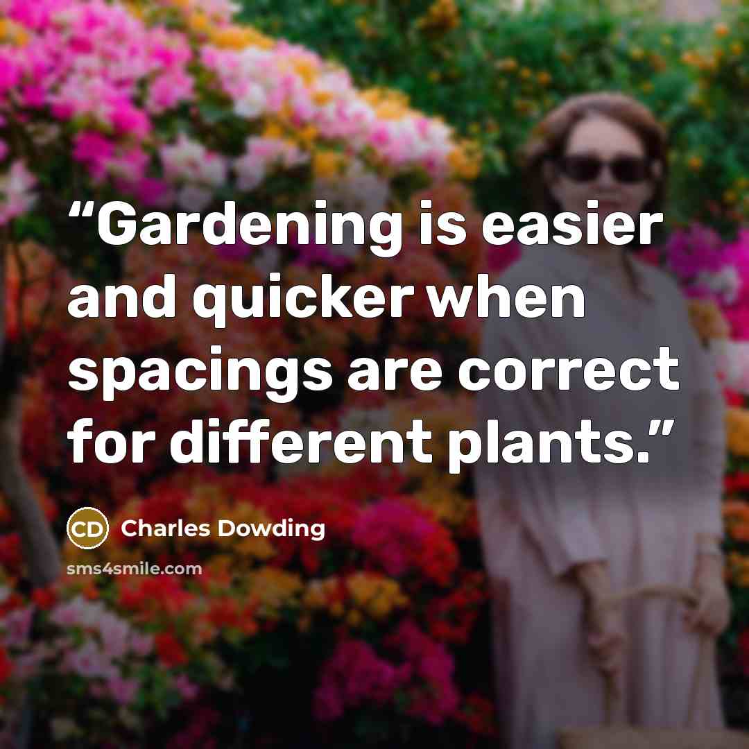 “Gardening is easier and quicker when spacings are correct for different plants.” quote by Charles Dowding