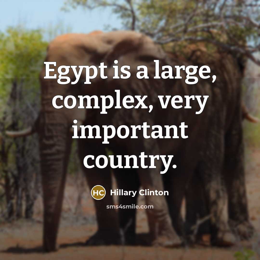 “Egypt is a large, complex, very important country.” quote by Hillary Clinton