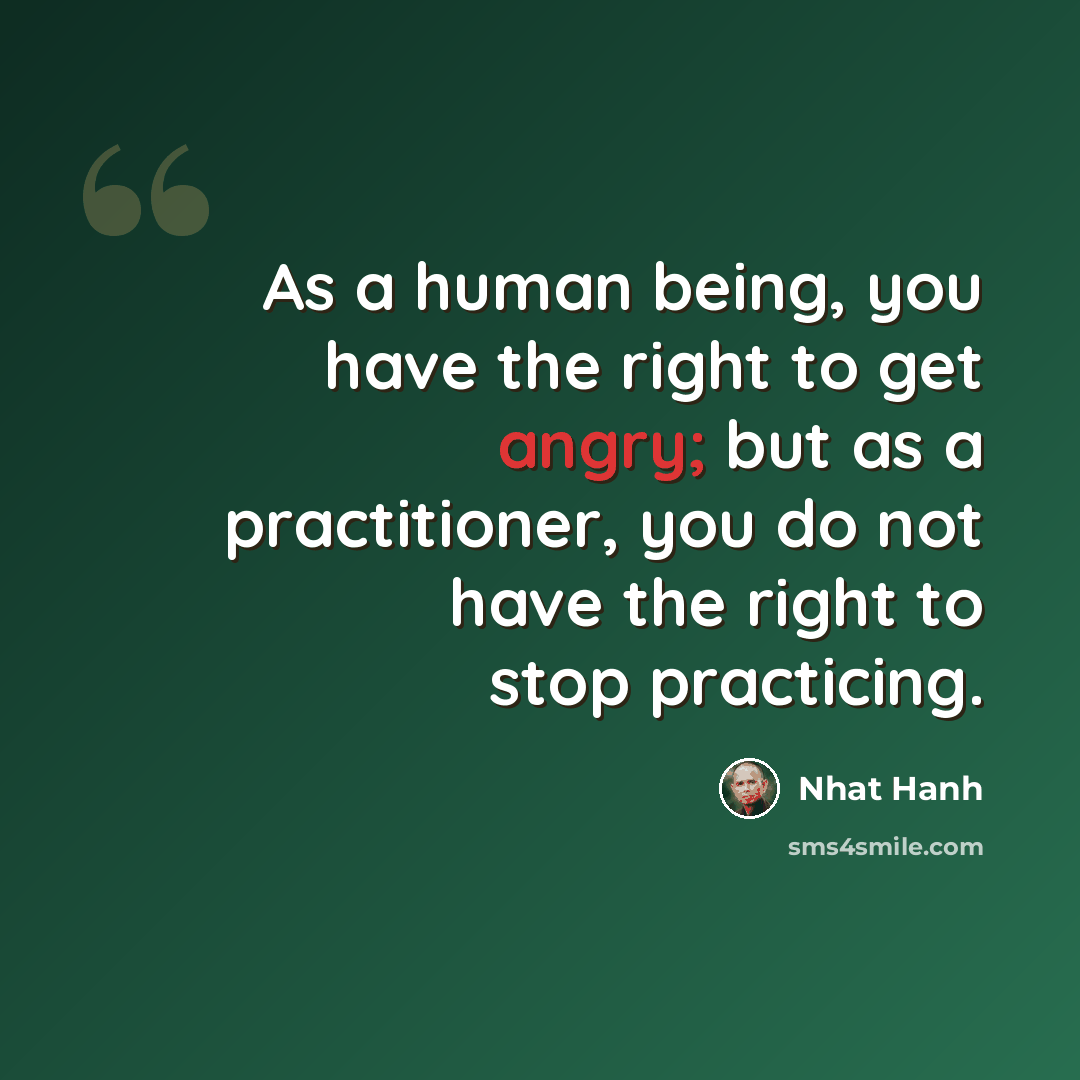“As a human being, you have the right to get angry; but as a practitioner, you do not have the right to stop practicing.” quote by Nhat Hanh