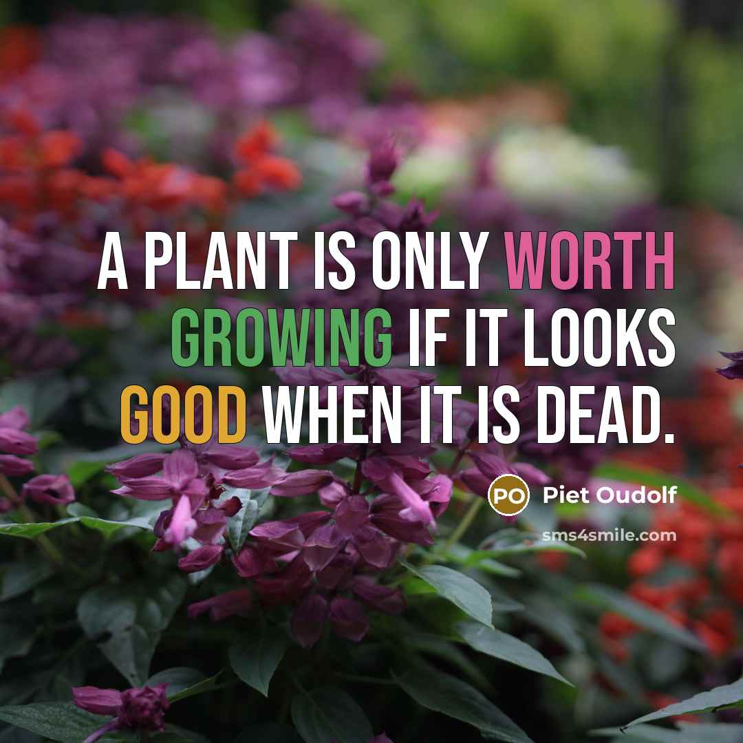 “A plant is only worth growing if it looks good when it is dead.” quote by Piet Oudolf