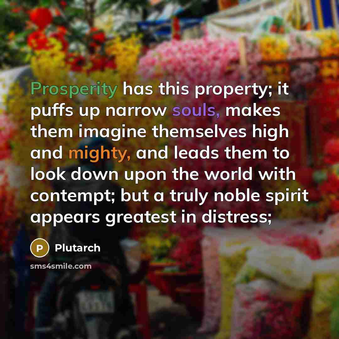 “Prosperity has this property; it puffs up narrow souls, makes them imagine themselves high and mighty, and leads them to look down upon the world with contempt; but a truly noble spirit appears greatest in distress;” quote by Plutarch