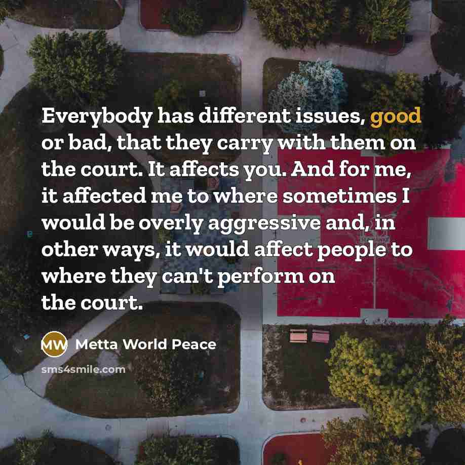 “Everybody has different issues, good or bad, that they carry with them on the court. It affects you. And for me, it affected me to where sometimes I would be overly aggressive and, in other ways, it would affect people to where they can't perform on the court.” quote by Metta World Peace