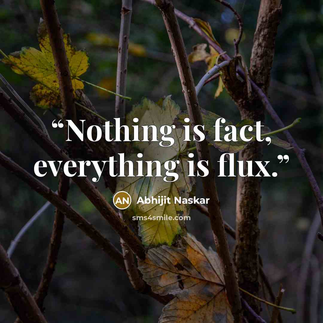 “Nothing is fact, everything is flux.” quote by Abhijit Naskar