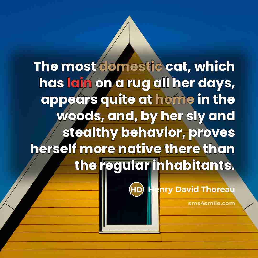 “The most domestic cat, which has lain on a rug all her days, appears quite at home in the woods, and, by her sly and stealthy behavior, proves herself more native there than the regular inhabitants.” quote by Henry David Thoreau