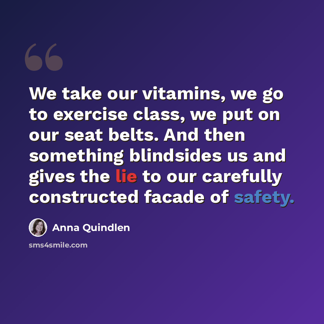 “We take our vitamins, we go to exercise class, we put on our seat belts. And then something blindsides us and gives the lie to our carefully constructed facade of safety.” quote by Anna Quindlen