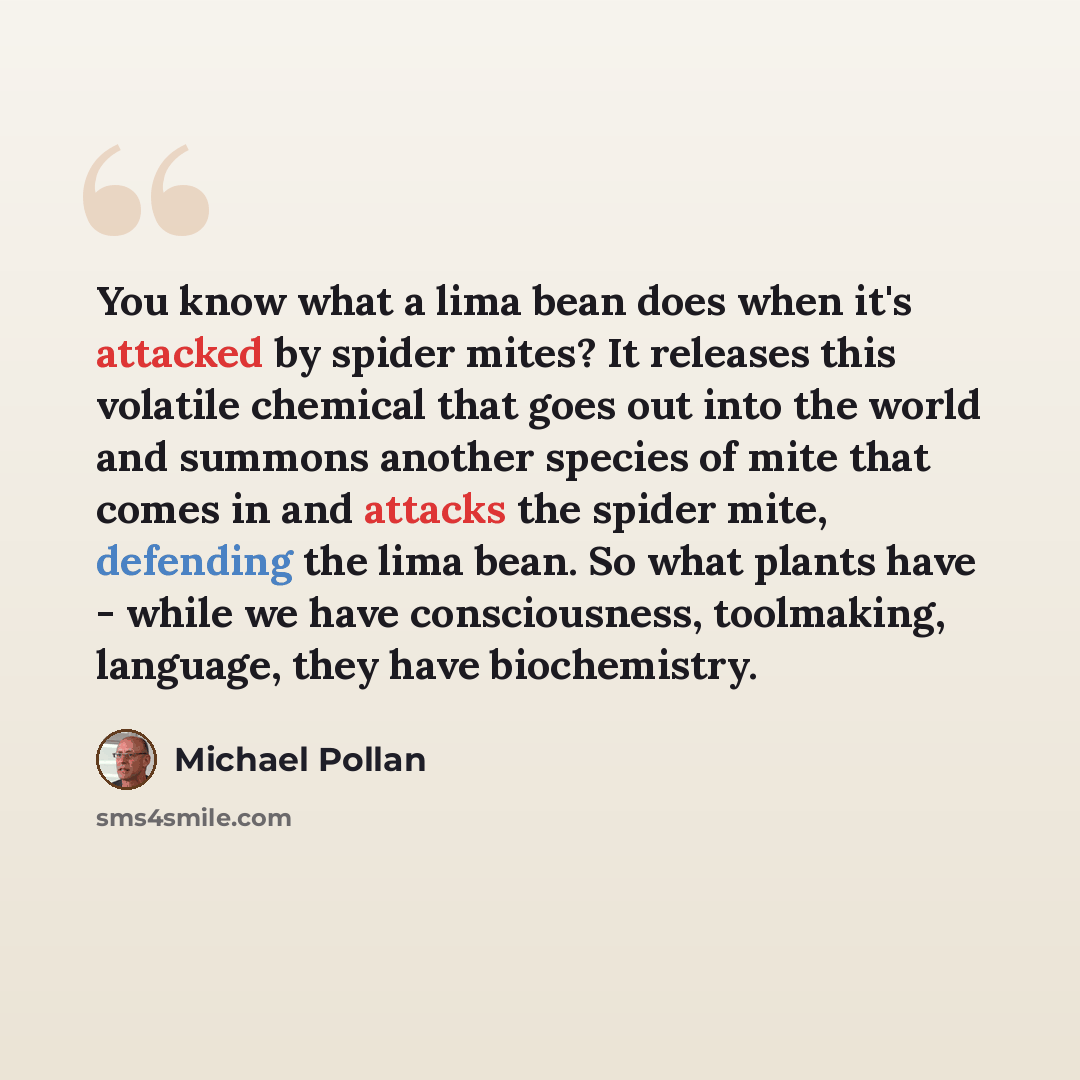“You know what a lima bean does when it's attacked by spider mites? It releases this volatile chemical that goes out into the world and summons another species of mite that comes in and attacks the spider mite, defending the lima bean. So what plants have - while we have consciousness, toolmaking…” quote by Michael Pollan