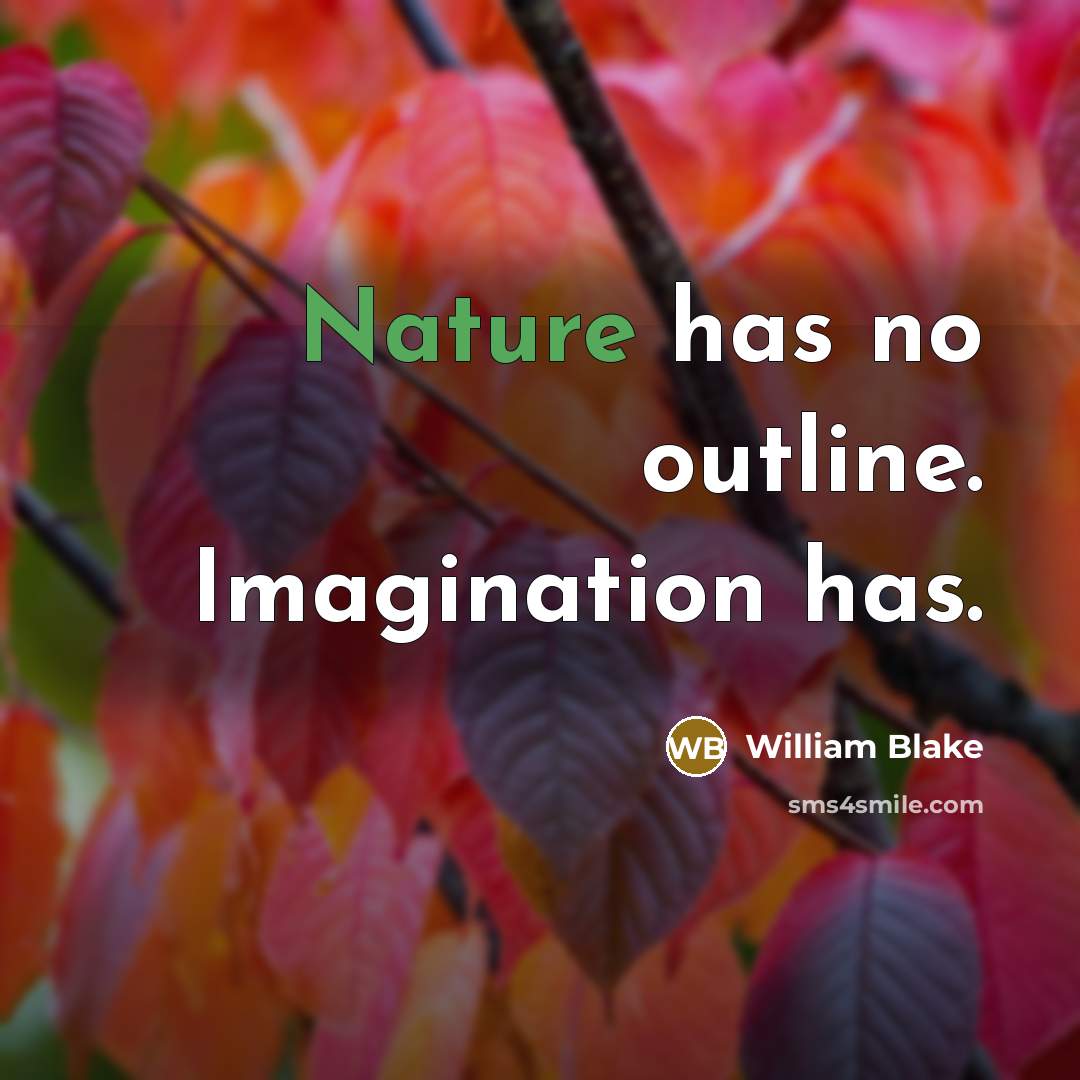 “Nature has no outline. Imagination has.” quote by William Blake