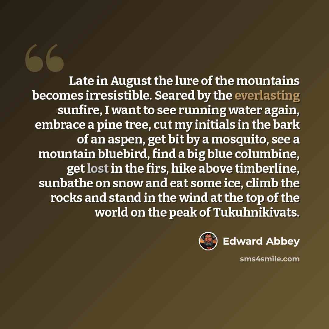 “Late in August the lure of the mountains becomes irresistible. Seared by the everlasting sunfire, I want to see running water again, embrace a pine tree, cut my initials in the bark of an aspen, get bit by a mosquito, see a mountain bluebird, find a big blue columbine, get lost in the firs, hike…” quote by Edward Abbey