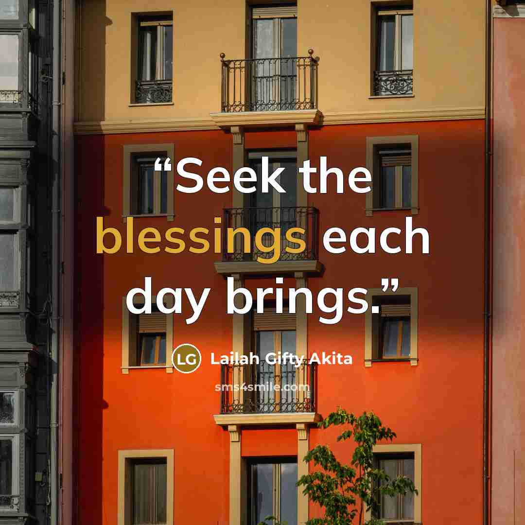 “Seek the blessings each day brings.” quote by Lailah Gifty Akita