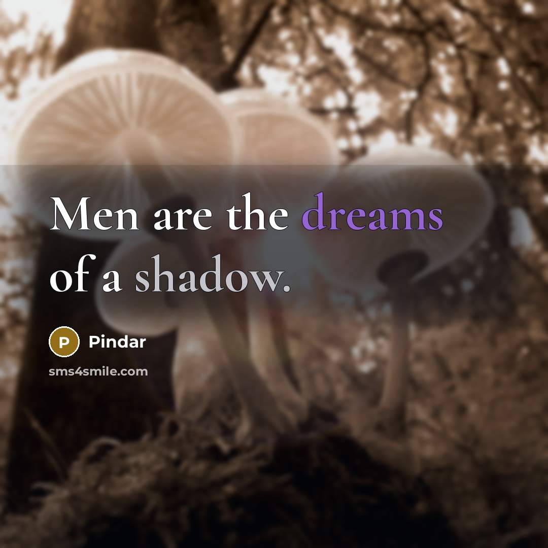 “Men are the dreams of a shadow.” quote by Pindar
