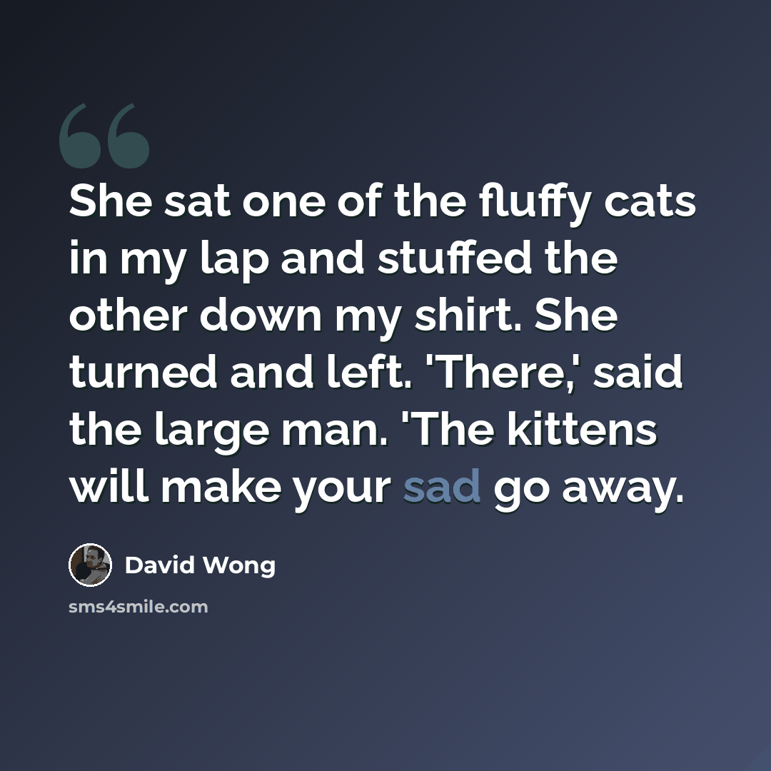 “She sat one of the fluffy cats in my lap and stuffed the other down my shirt. She turned and left. 'There,' said the large man. 'The kittens will make your sad go away.” quote by David Wong