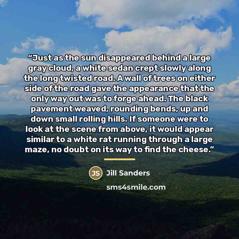 “Just as the sun disappeared behind a large gray cloud, a white sedan crept slowly along the long twisted road. A wall of trees on either side of the road gave the appearance that the only way out was to forge ahead. The black pavement weaved, rounding bends, up and down small rolling hills. If…” quote by Jill Sanders