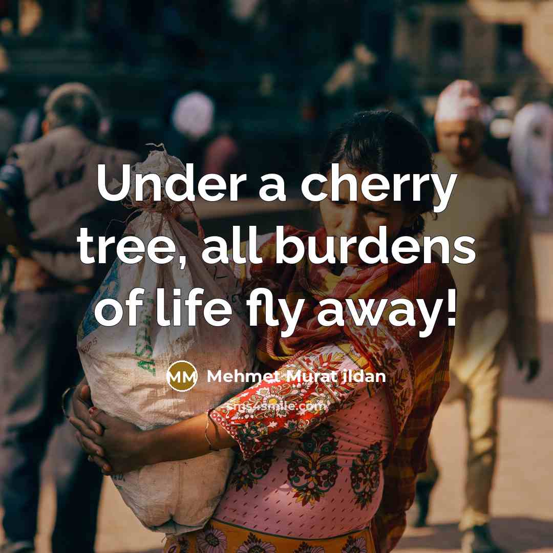 “Under a cherry tree, all burdens of life fly away!” quote by Mehmet Murat Ildan